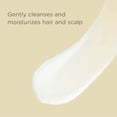 thumbnail image 5 of Hairitage Moisturizing, Nourishing Shampoo Plus Conditioner | Grapeseed Oil & Oat Peptides, 13 fl oz (6-Pack), 5 of 9