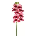 thumbnail image 1 of Vickerman 33" Contemporary Fabric Artificial Cymbidium Stem in Pink, 1 of 2