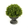 thumbnail image 1 of Zentique ZENC-1 Plante Faussement en Pot, 1 of 1