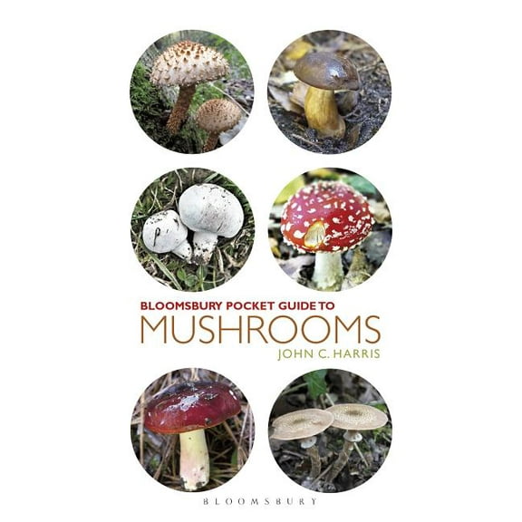 Pocket Guides: Pocket Guide to Mushrooms (Paperback)