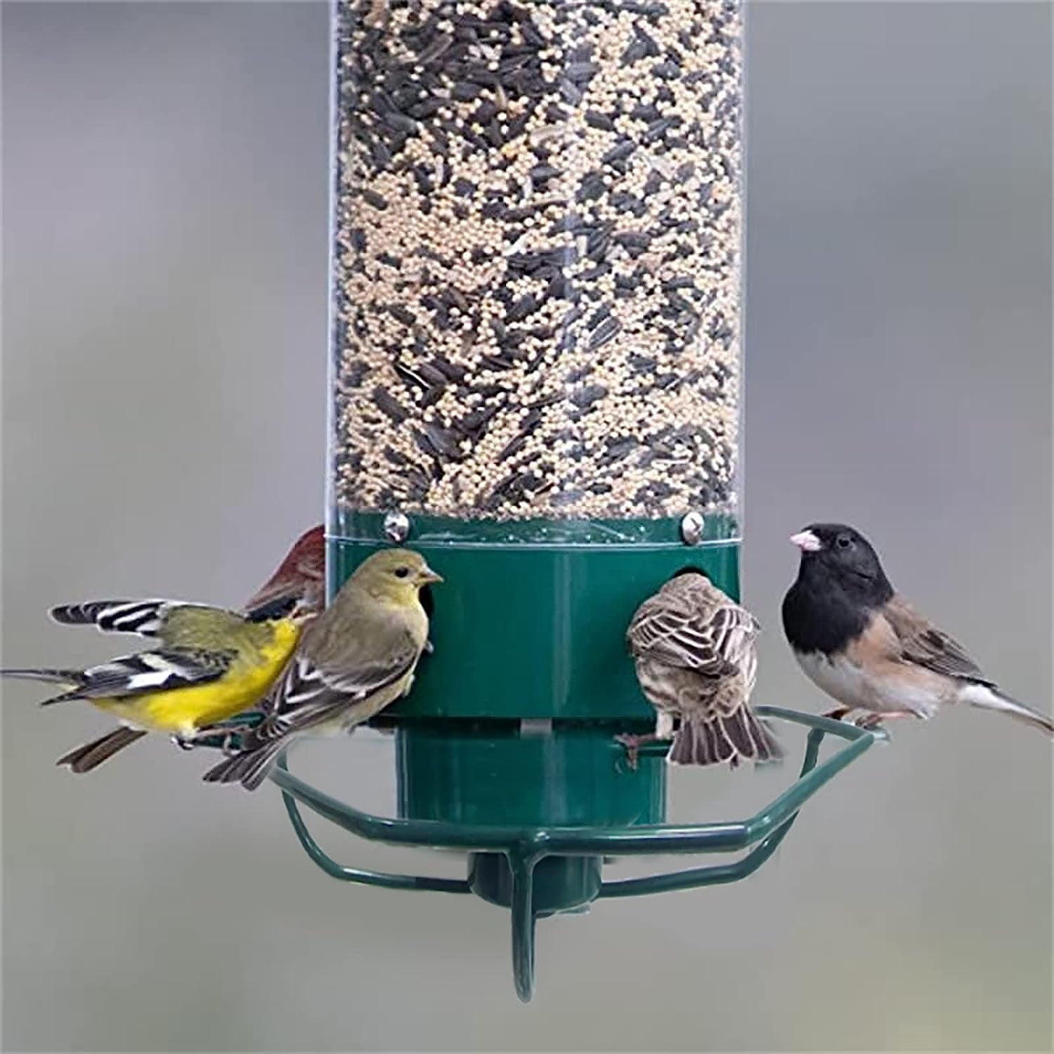 Bird Feeders Squirrel Proof for Outside,2025 New Metal Spinning Bird Feeder,Hanging BirdFeeders for Outside Outdoor,5Lbs Feeder Capacity