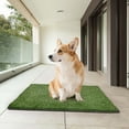 thumbnail image 4 of Necvior Realistic Artificial Turfs Dog Potty Grass Pad Machine Washable Dog Potty Pad for Indoor Outdoor Use, 4 of 16