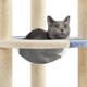 thumbnail image 4 of Wangone Cat Tree 35.5in Indoor Cat Tower with Scratching Posts & Padded Perch – Cute Cat Condo House with Space Capsule for Kittens, Small Cats, Home Use, Blue/Beige, 4 of 18