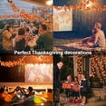 thumbnail image 6 of "Thanksgiving Decoration Pumpkin Maple Leaf Garland String Lights Halloween Fall Decoration Seasonal Light Indoor Outdoor Decor Gift, Length 20 ft 40 LED /15 ft 30 LED/ 10 ft 20 LED/ 5 ft 10 LED", 6 of 8