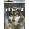 Nature: Yellowstone
