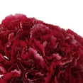 thumbnail image 4 of AMLESO Artificial Silk Flower Carnation Bouquet Wedding Home Decoration Rose Red, 4 of 7