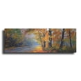 thumbnail image 1 of Luxe Metal Art 'Autumn Backlight' by Graham Gercken, Metal Wall Art, 48"x16", 1 of 1