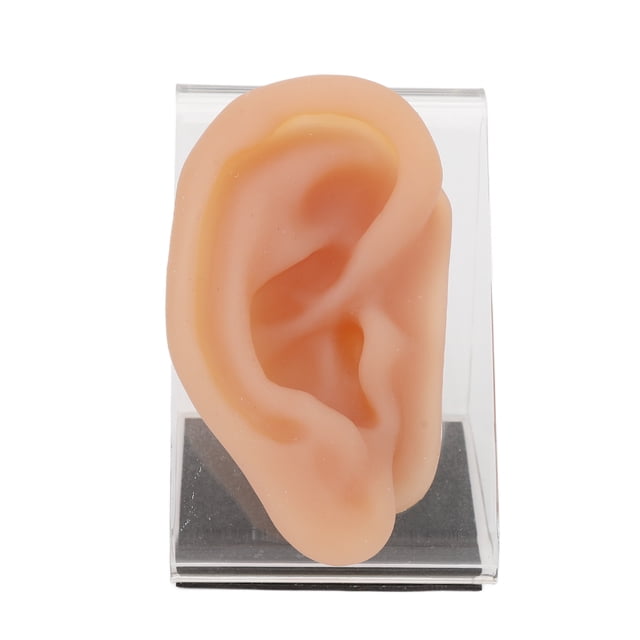 Display Ear Model, Odorless Professional Silicone Simulated Ear Model For Earring Display For Jeweler