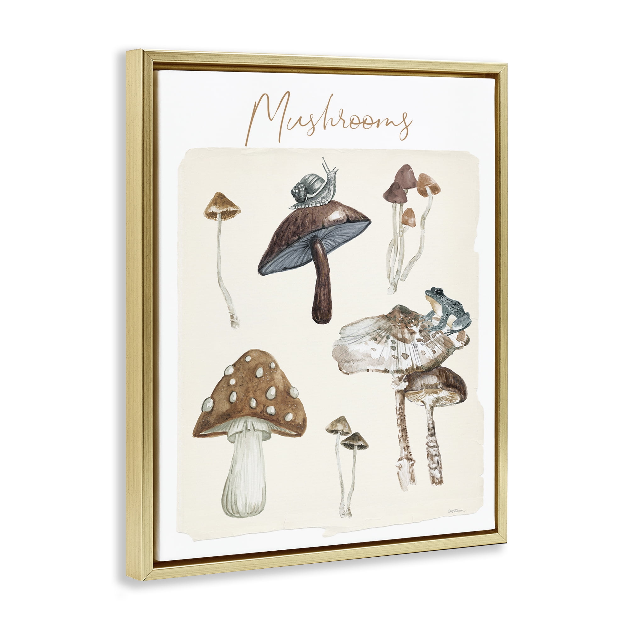 Stupell Industries Assorted Mushrooms Study Botanical & Floral Painting Gold Floater Framed Art Print Wall Art, 25 x 31