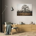 thumbnail image 3 of Vitaly Geyman 18x13 Gallery Wrapped Canvas Wall Art Titled - Frosty Tree, 3 of 4
