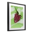 thumbnail image 2 of Stupell Industries Contemporary Glimmer Strawberry on Green Black Framed Print Under Glass, 13 x 16, by LISH Creative, 2 of 8