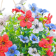 thumbnail image 2 of Cesta de flores para decoración del Día Patriótico para puerta de entrada Día de la Independencia 4 de julio para interior y exterior Rojo Blanco Azul, 2 of 6