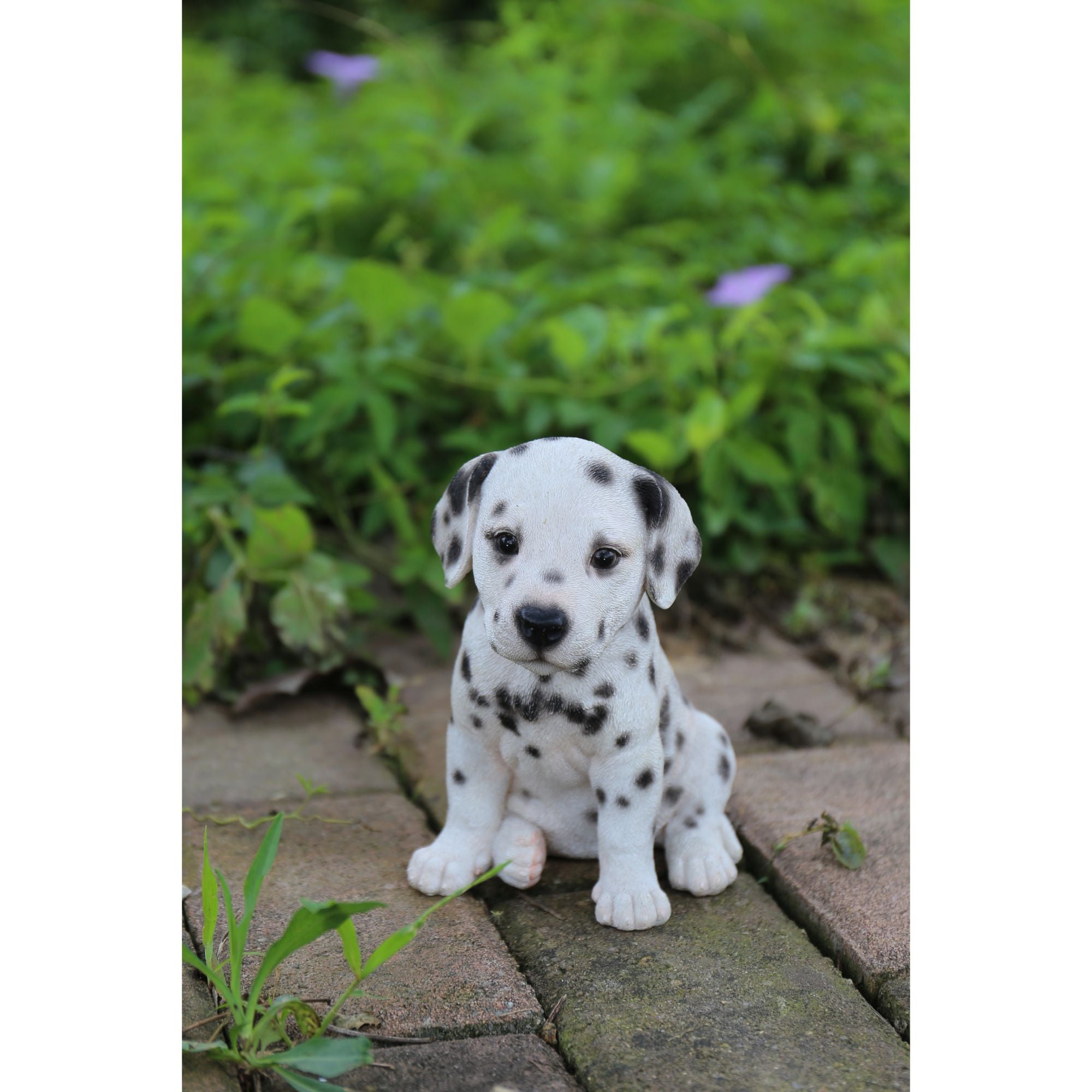 Black And White Spotted Dalmatian Dogs Puppies Magnetic Salt Pepper Sh–  Ebros Gift