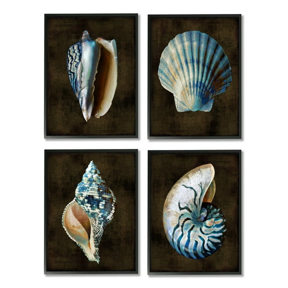 Stupell Industries Seashells on Black Animals & Insects Painting Black Framed Art Print Wall Art, 11 x 14, Set of 4