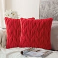 thumbnail image 4 of Pillowcase Lint Sofa Pillowcase,Living Room Sofa Cushion,Home Decor,Soft Touch,Machine Washable,Easy Care,Modern Style,Living Room Accessory,Comfortable Sleep,Home Comfort, 4 of 8