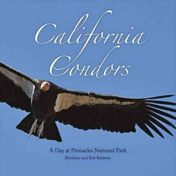 California Condors: A Day at Pinnacles National Park (Hardcover)