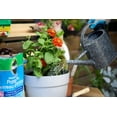 thumbnail image 2 of Miracle-Gro Moisture Control terreau d'empotage 25L, 2 of 6