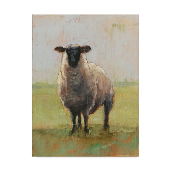 Trademark Fine Art 'Away from the Flock I' Canvas Art by Ethan Harper