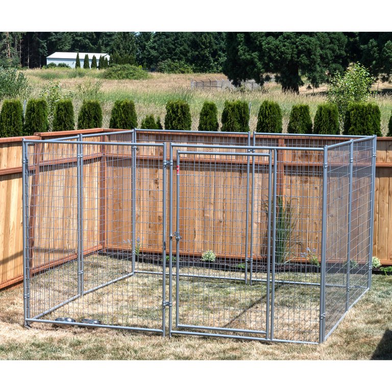 Lucky online dog run