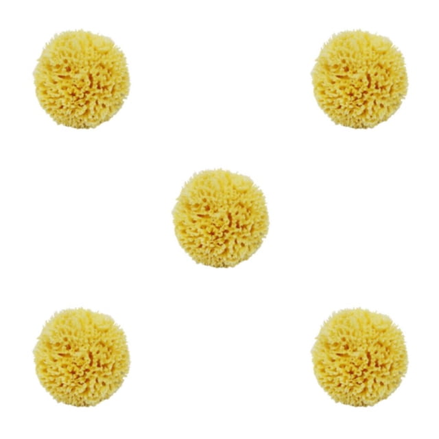 maskred Skin Friendly Natural Sea Sponge For Wide Application Multi-functional Honeycombs Natural Sea Sponge yellow 5Set