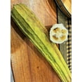 thumbnail image 3 of TomorrowSeeds - Bonanza Angled Luffa Gourd Seeds - 60+ Count - For 2025 Planting Ridged Angled, 3 of 9