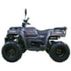 thumbnail image 5 of Motocicleta ATV DINAMO Xtreme RLX 200 Gris, 5 of 5