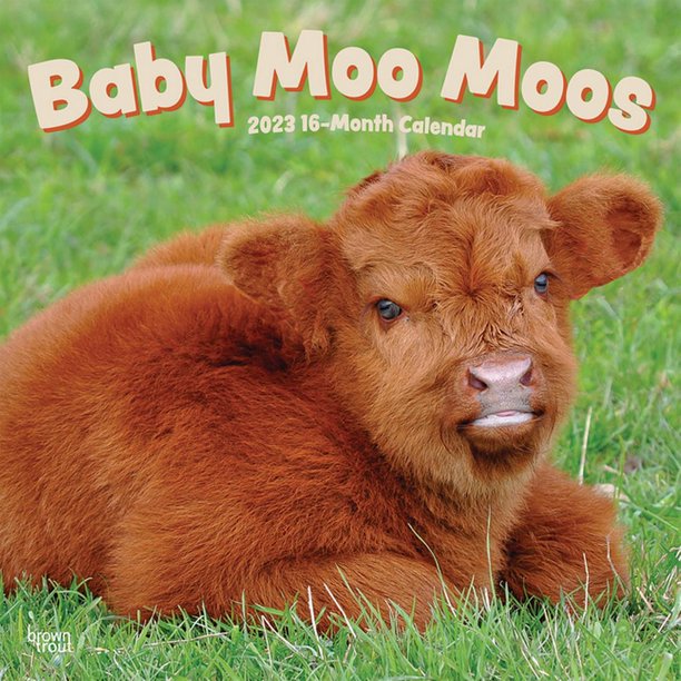 Mary Moo Moos