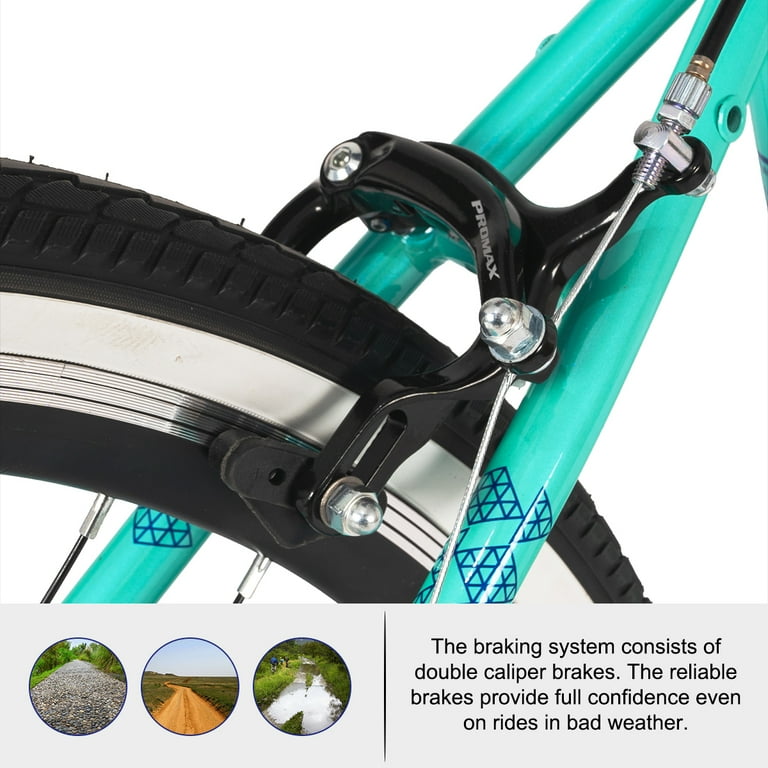 Anyone 4種類 + Fontaine Cycling clydesdale-rein-h1-titanium-