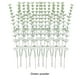 thumbnail image 4 of Matsuzay 12 unids/set patrones de hojas transparentes ramo de plantas simuladas de eucalipto decoración de plantas artificiales flores Decoración polvo verde, 4 of 6