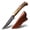 Ram's Horn 2159, variant on Plys Camping Knife Fixed Blade with Leather Sheath 3.5 Inch Survival Knife - Gift for Men, Ideal for Chopping, Hunting Outdoor
