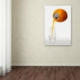 thumbnail image 3 of Trademark Fine Art 'Natural Refreshment' Canvas Art by Jesus M. Garcia, 3 of 3