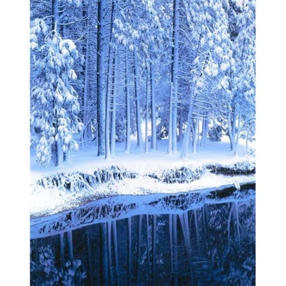 Posterazzi PDDUS05SSM0009 Winter Conifers Merced River Yosemite Valley Ca Poster Print by Scott T. Smith - 25 x 32 in.