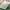 Clear, variant on Sunblock Shade Cloth for Plants Cover, Shade Net with Grommets, UV Resistant Sun Shade Mesh Fabric for Greenhouse, Pergola, Kennel, Patio, Garden and Balcony