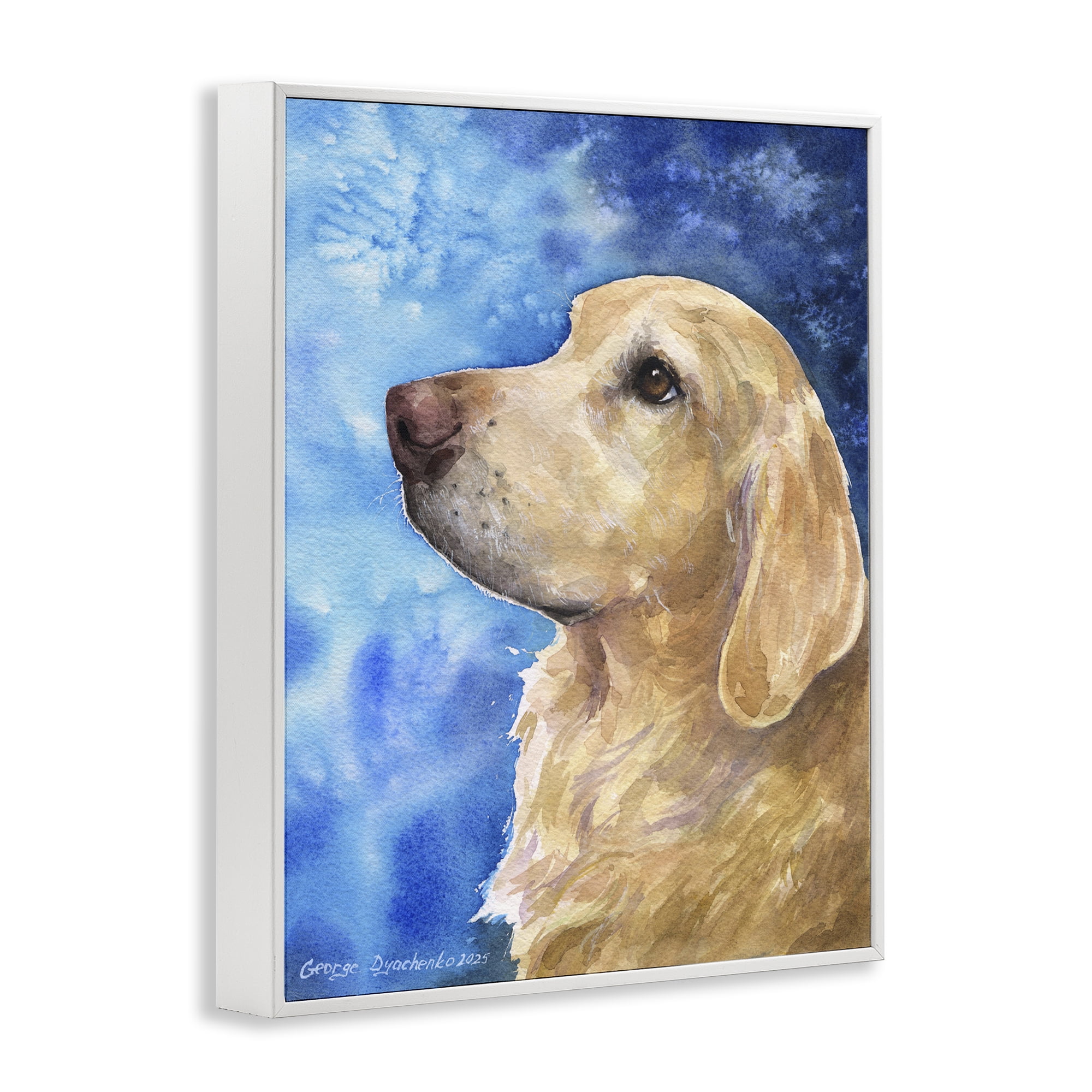 Stupell Industries Golden Retriever Portrait on Azure White Framed Giclee Art, design by George Dyachenko