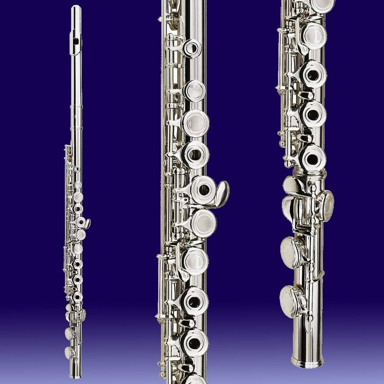 Cecilio flute 2024
