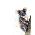 thumbnail image 2 of Shefranov, Olga 20x24 White Modern Wood Framed Museum Art Print Titled - Koala, 2 of 4