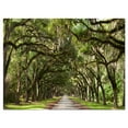 thumbnail image 2 of Design Art - Live Oak Tunnel, 2 of 3