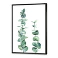 thumbnail image 3 of Designart 'Green Eucalyptus Branch' Tropical Framed Canvas Wall Art Print, 3 of 5