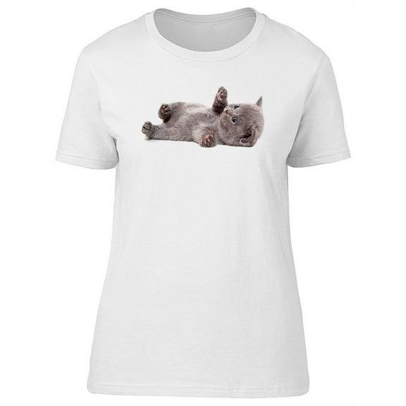 Cute Fluffy Scottish Kitten Tee Women's -Image by Shutterstock