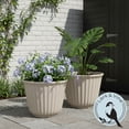 thumbnail image 6 of Lark & Vine Kensington Resin Planter, Durable and Light Weight, 15.9" x 15.9" x 12.6", Beige, Set of 2, 6 of 7