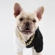 thumbnail image 5 of French Fighting Dog Bully Gold Chain Perro Pequeño y Mediano yeacher Collar, 5 of 6