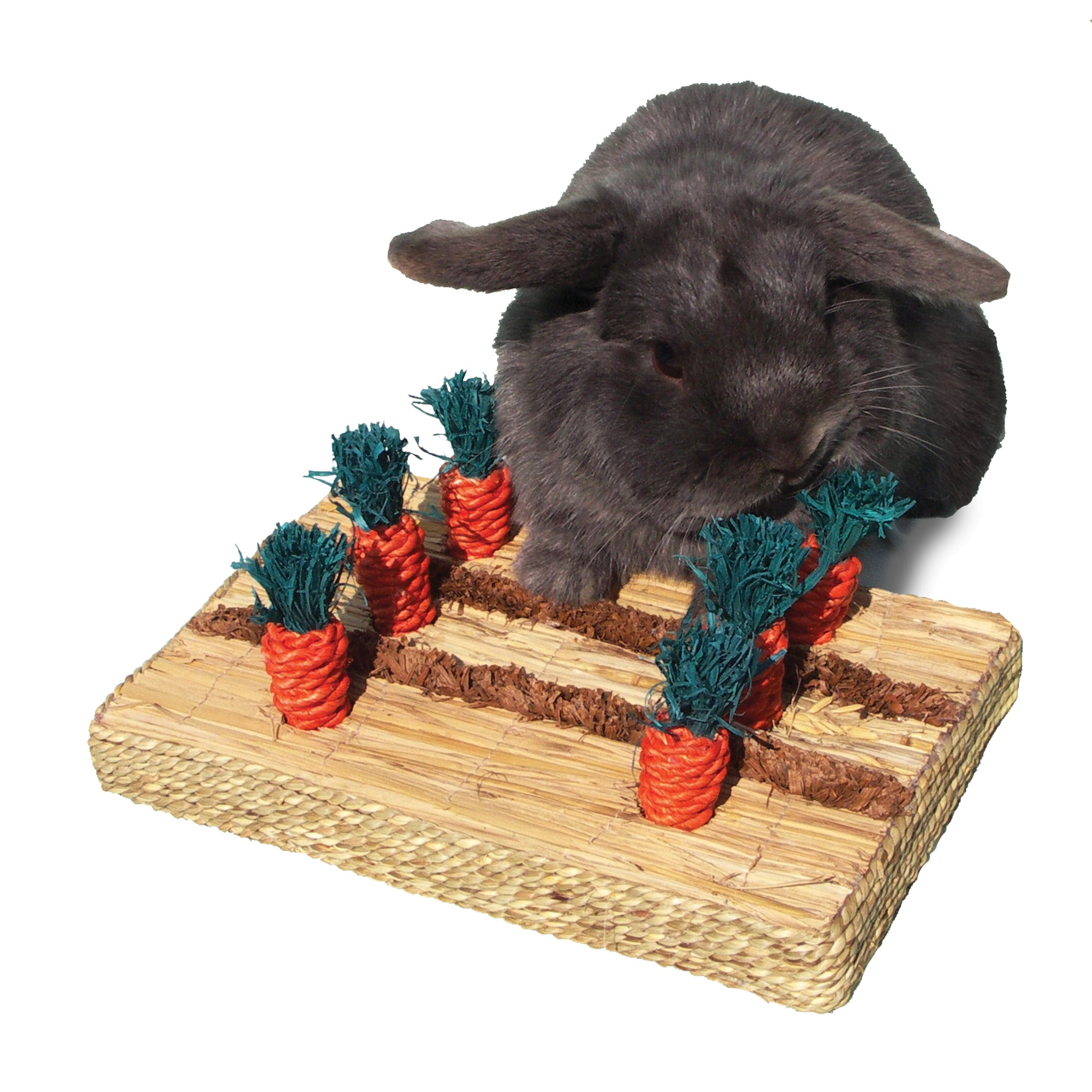 Rosewood Pet Boredom Breaker Carrot Play Patch Small Animal Toy