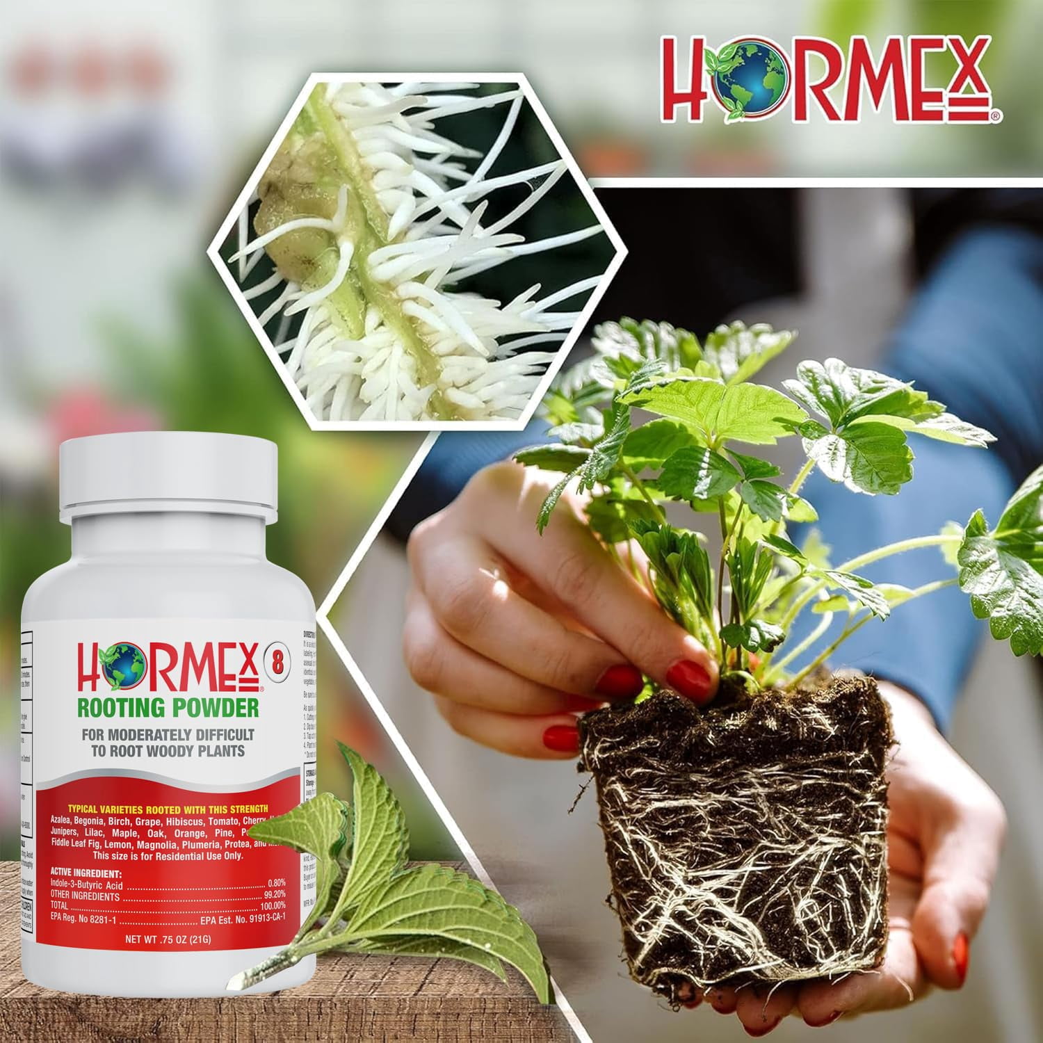 Hormex Rooting Powder #8 & Cubes Combo – Rooting Hormone for Semi-Hardwood Cuttings & Hydroponics