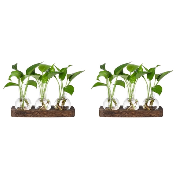 2X Plants Propagation Stations Glass Vase Station Retro Plant Terrarium with Wooden Tray Bulb Flower
