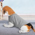 thumbnail image 1 of Veste Anti-Anxiété pour Chien, Veste Anti-Anxiété pour Chien Design Convivial, 1 of 9