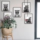 thumbnail image 5 of Lote de 6 lienzos decorativos de mapaches para baño, impermeables, sin marco, de 20 x 25 cm, en blanco y negro., 5 of 7