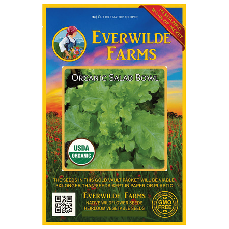 Everwilde Farms - 500 Organic Salad Bowl Leaf Lettuce Seeds - Gold Vault Jumbo Bulk Seed (Best Way To Store Lettuce For Salad)