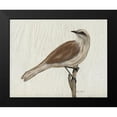 thumbnail image 2 of Murdock, Ramona 24x20 Black Modern Framed Museum Art Print Titled - Mockingbird Medley IV, 2 of 5