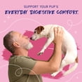 thumbnail image 7 of PupGrade Digestive Health Soft Chews for Dogs, Probiotics & Enzymes, 120 Count Bag, 7 of 7