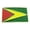 SQUARE, variant on Guyana Georgetown Guyananian Flag Caribbean Belt Buckle Nation Square Metal New